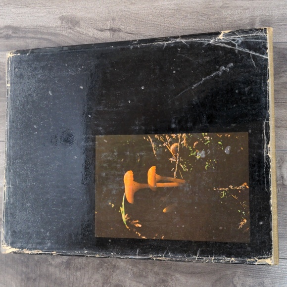 Wilderness Canada Book - Picture 7 of 7